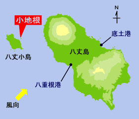 䓇n}