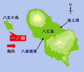 䓇n}